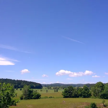 Albfirst